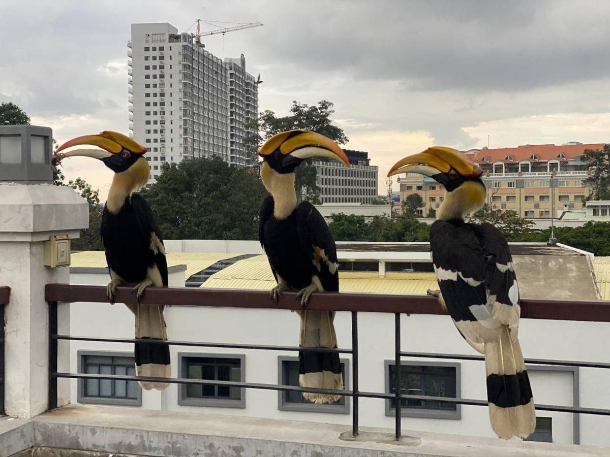 Pooltop Phnom Penh Bagian luar foto